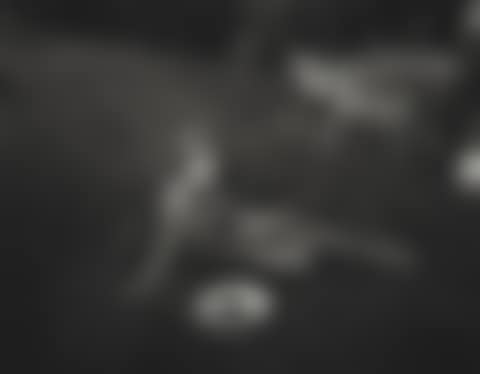 Jessie at 7 (preview)