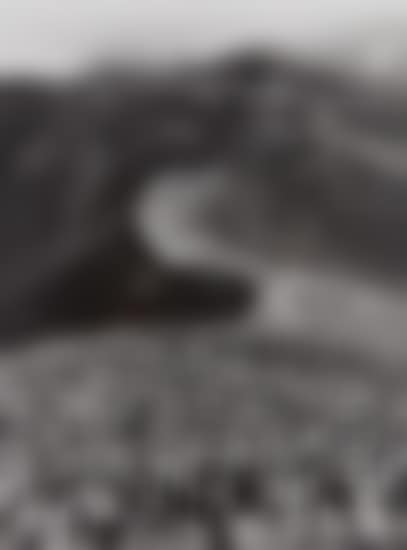 Chinstrap Penguins (Pygoscelis Antarctica), Deception Island, Antarctica (preview)