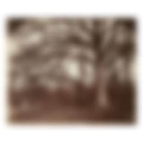 'ST. CLOUD' (preview)