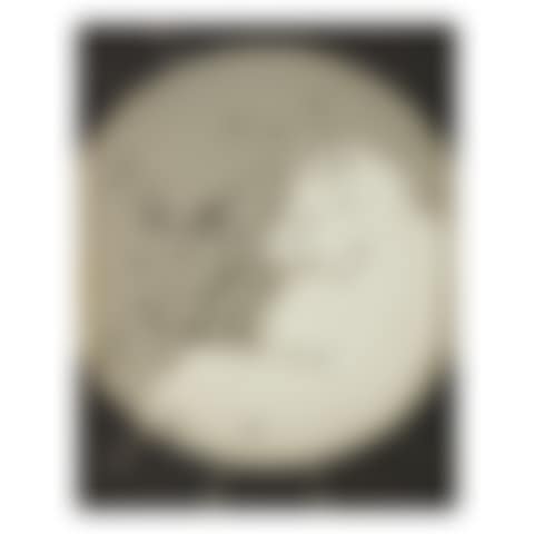 RAYOGRAPH (preview)