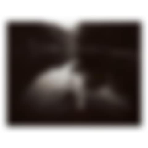 'THE LAST TIME EMMETT MODELED NUDE' (preview)