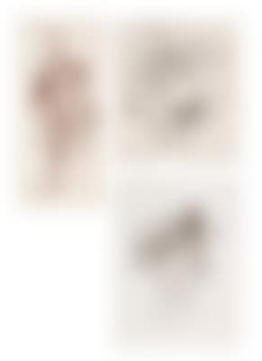 "Teachings of Sexuality II" (preview)