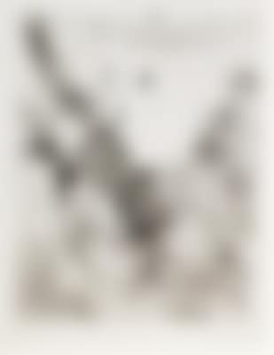 "Like a Tree" (preview)
