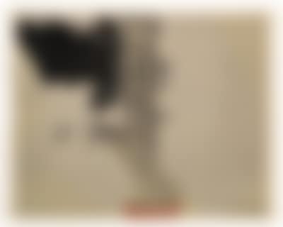 Untitled (preview)