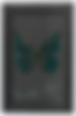 "Souls" (preview)