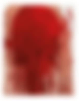 Hermann nitsch 01 (preview)