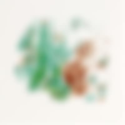 "Woodland" (preview)