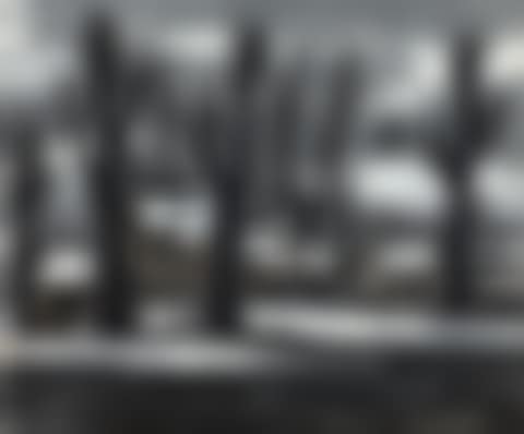 WINTER LANDSCAPE (preview)