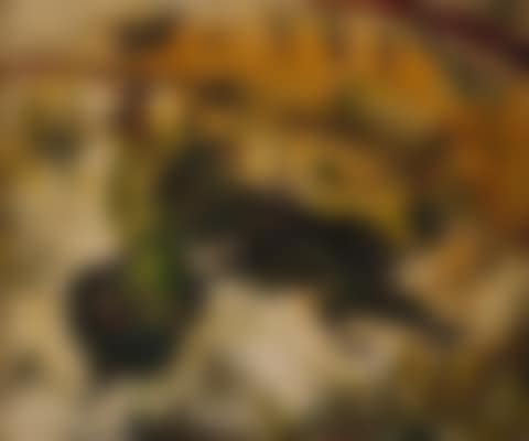 MATADOR (preview)