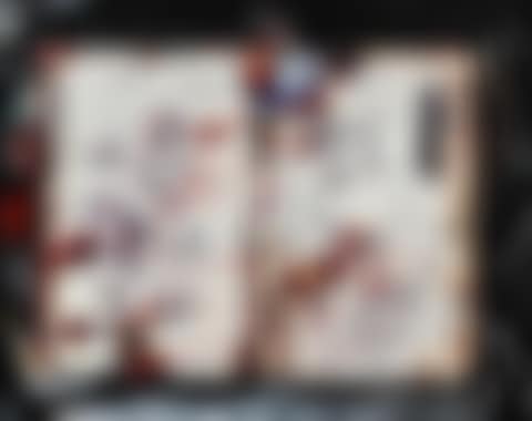 Diary Page, Thurs-Fri 27-28 June, 1991 (preview)