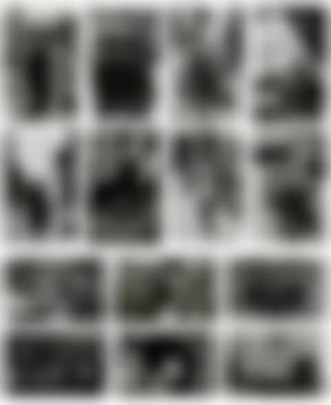 Selected images from "The American Scene" (preview)