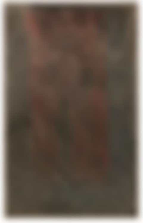 Grigio e Rosso (preview)