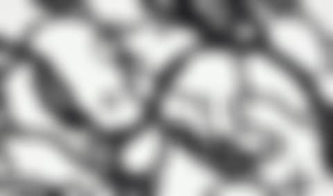 UNTITLED (MBFR7) (preview)