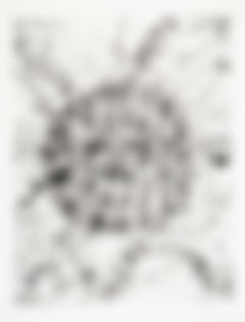 Untitled (L. 201; SF-209) (preview)