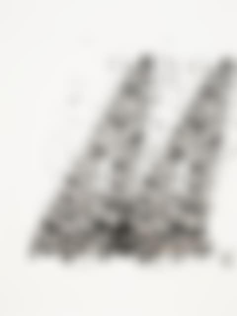 Untitled (L. 204; SF-212) (preview)