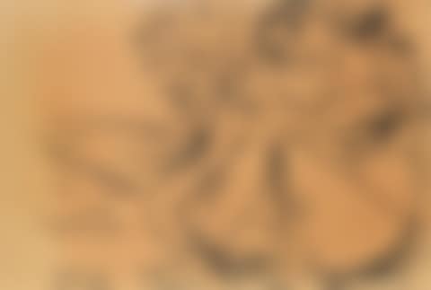 Female figure with sitar (preview)