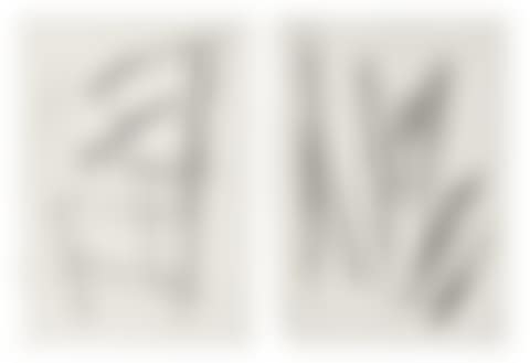 I.UNTITLED (#14); II. UNTITLED (#30) (preview)