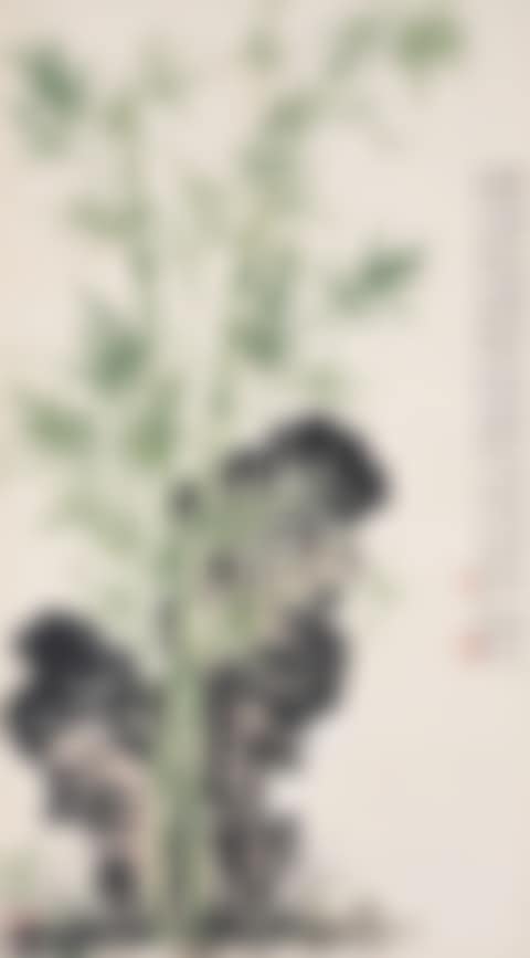 Bamboo and Rock (preview)