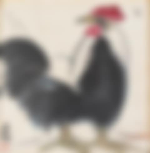 Rooster (preview)