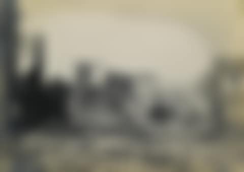 The aftermath of the 1906 earthquake (preview)