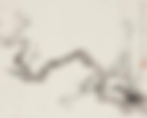 Plum Blossoms (preview)