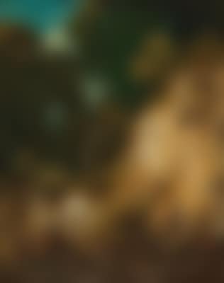 A forest gorge (preview)