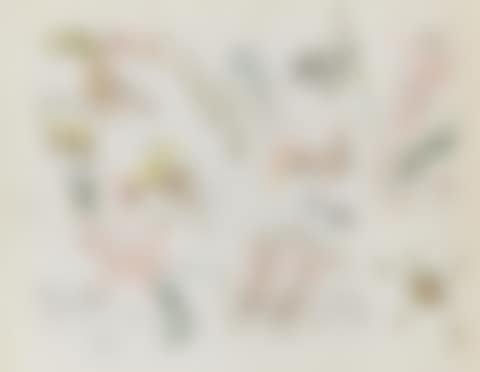 WAR CARTOON (preview)