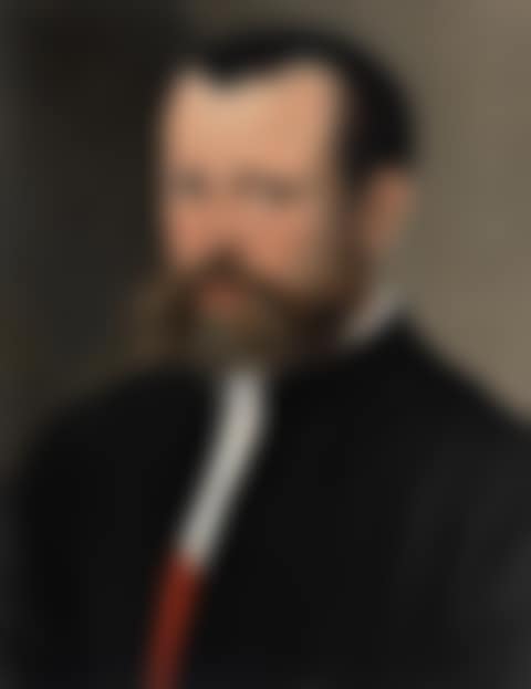 Portrait of a gentleman, bust-length, in a black coat (preview)