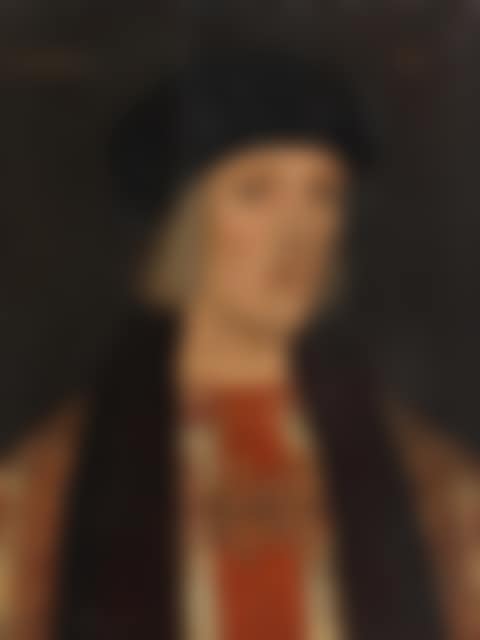 Portrait of Henry VII, bust-length, in ermine trimmed costume (preview)