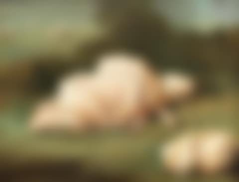 A sheep and a shorn fleece (preview)