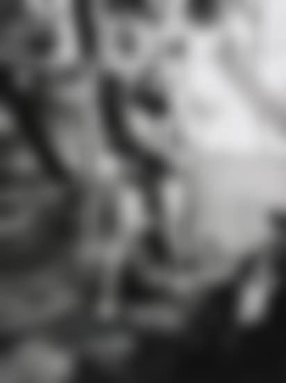Domestic Nude 11, Los Angeles (preview)