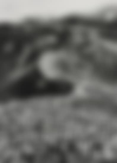 Chinstrap Penguins (Psygoscelis Antarctica), Deception Island, Antarctica (preview)