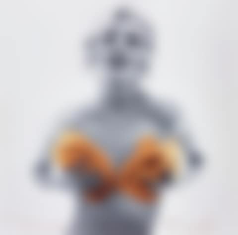 Marilyn with Apricot Roses from The Last Sitting, 1962 (preview)
