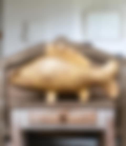 CARPE D'OR (preview)