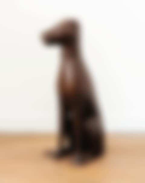 CHIEN ASSIS (preview)