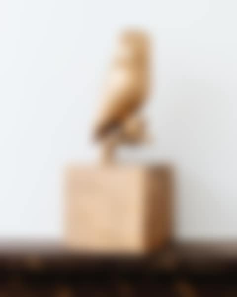 OISEAU BRANCHÉ, LE HIBOU (preview)