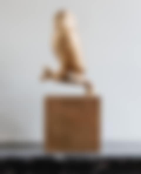 OISEAU BRANCHÉ, LE PERROQUET (preview)