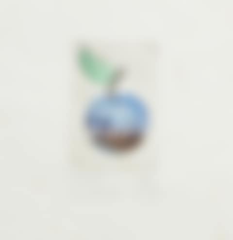 POMME PAYSAGE (preview)