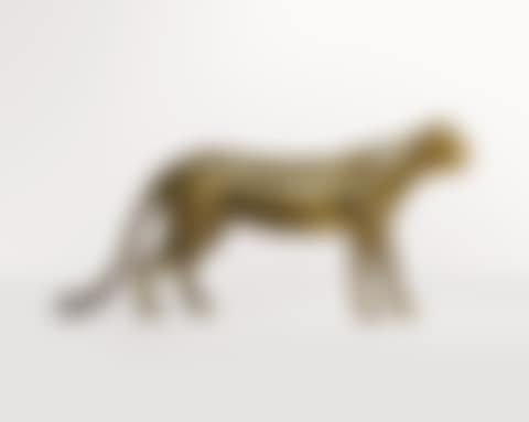 GUÉPARD (preview)