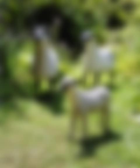 TROUPEAU , FROM THE NOUVEAUX MOUTONS SERIES (preview)