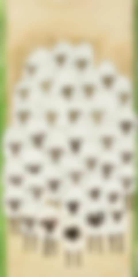 TROUPEAU DE MOUTONS (preview)