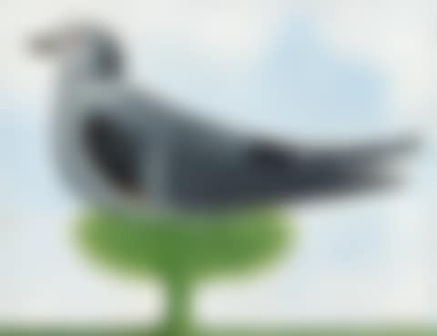 PIGEON (preview)