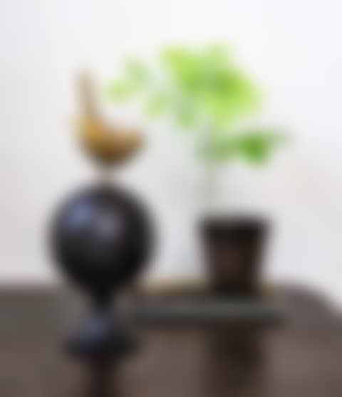 PETIT OISEAU SUR LA BOULE (preview)