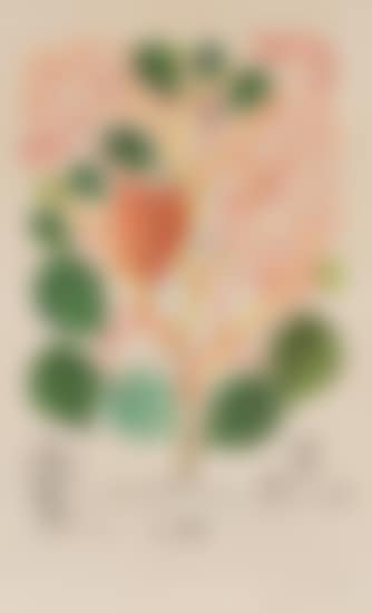 Begonia (Anacardium recordans), from Flordali® (Flora Dalinae) (preview)