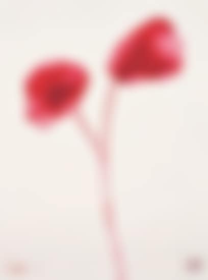 I Do (preview)