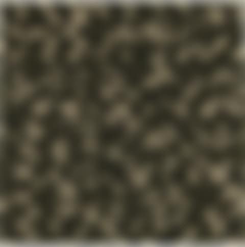 Monogramouflage Treillis (preview)