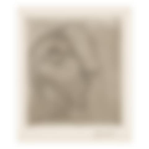 SCULPTURE. PROFIL DE MARIE-THÉRÈSE (B. 256; BA. 295) (preview)