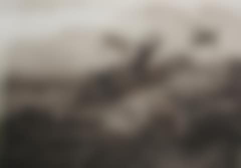 Grouse in Flight (preview)