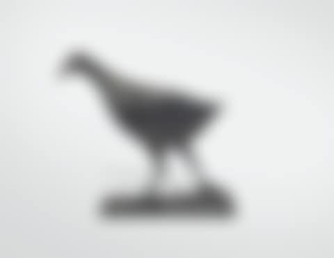 Poule d'eau (preview)