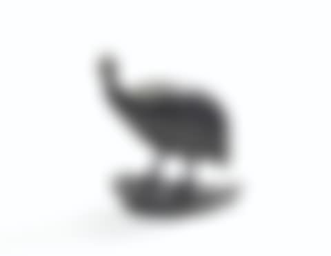 Pintade (preview)